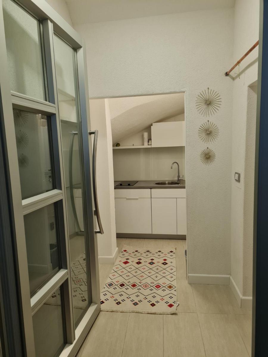 Dino - Housity