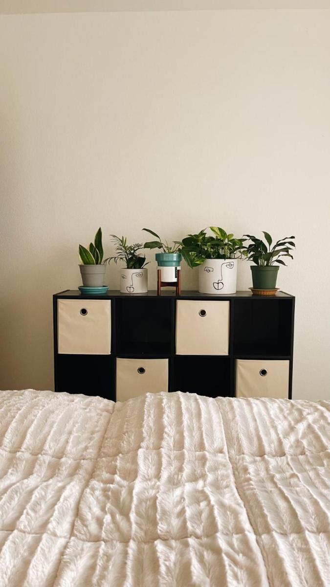 Cozy Queen Bed + Amenities and Parking Included - Housity