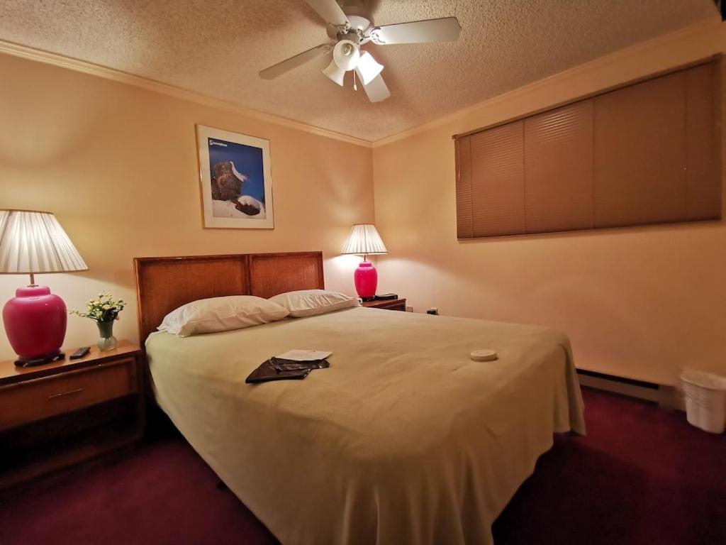 Enjoy the Long Range View, Ski in n out Top of the Mountain condo - Housity