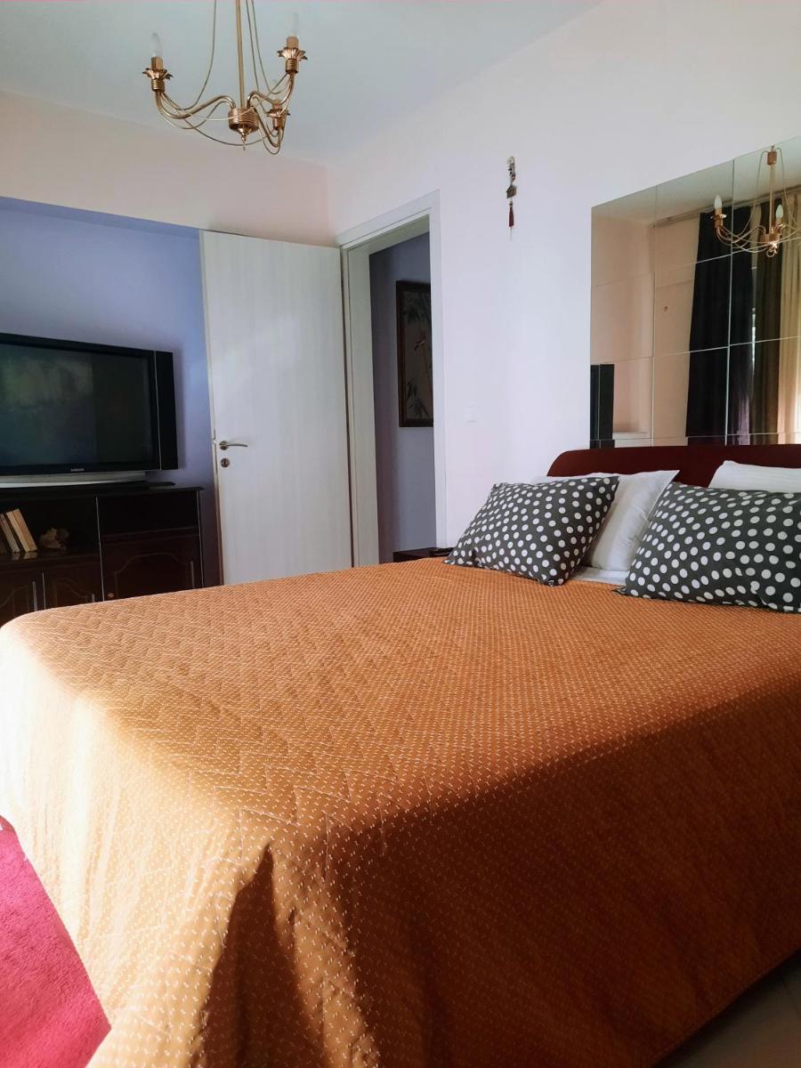 One bedroom apartment new with large living room - Housity