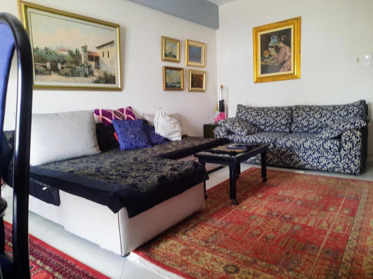 One bedroom apartment new with large living room - Housity