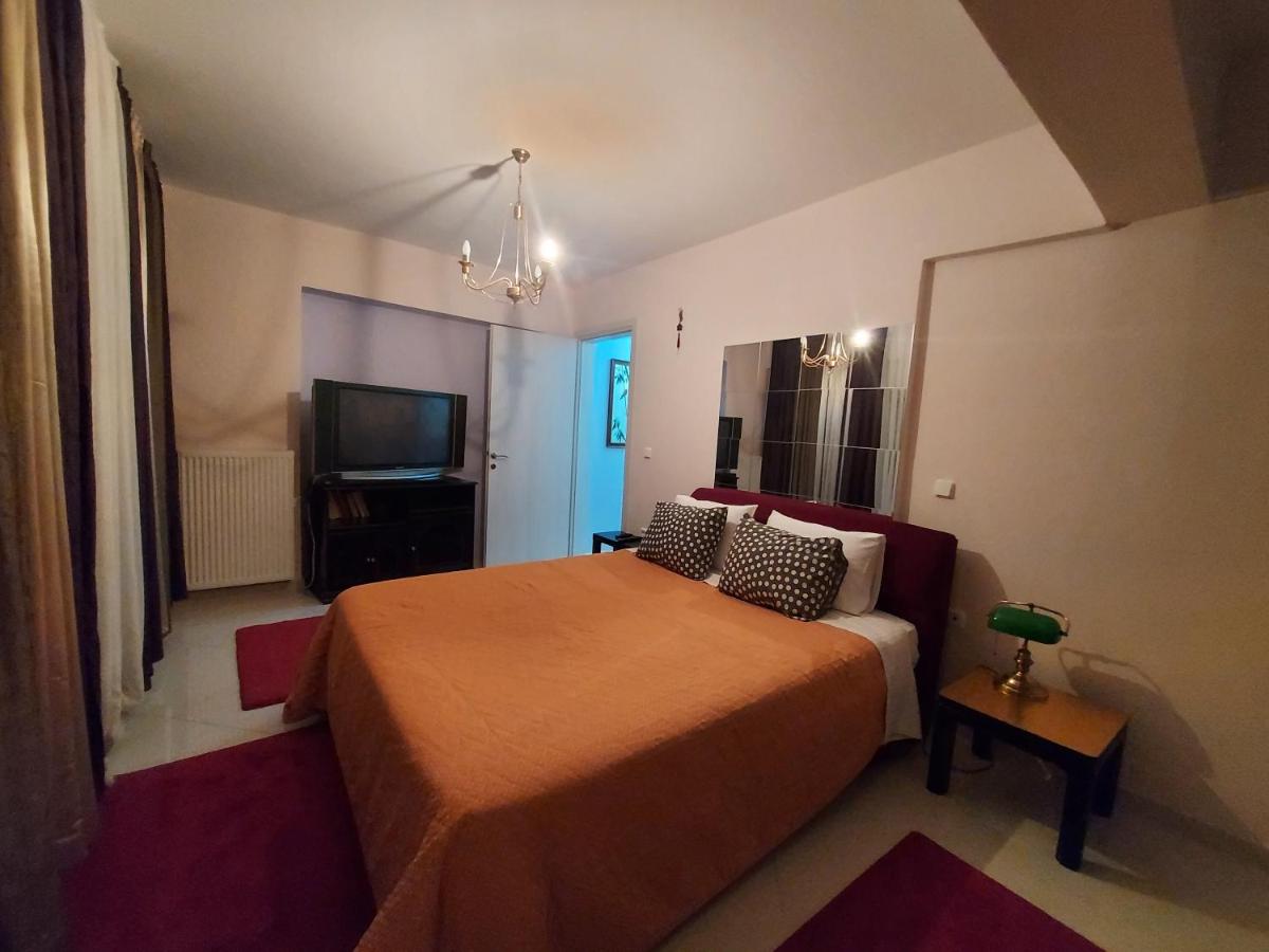 One bedroom apartment new with large living room - Housity