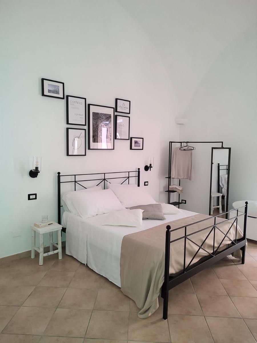 L'OLIVA CONTESA - alloggio turistico - la BIANCA - Housity