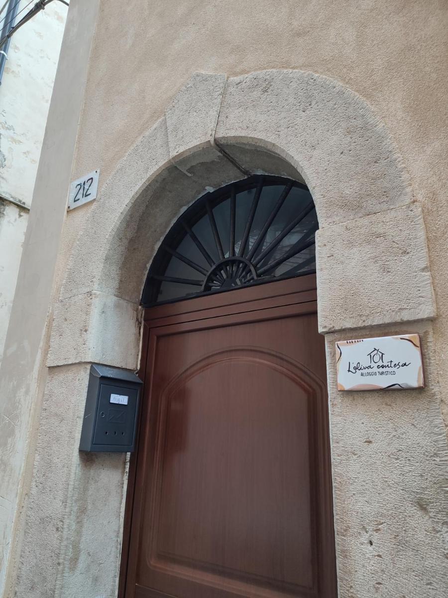 L'OLIVA CONTESA - alloggio turistico - la BIANCA - Housity
