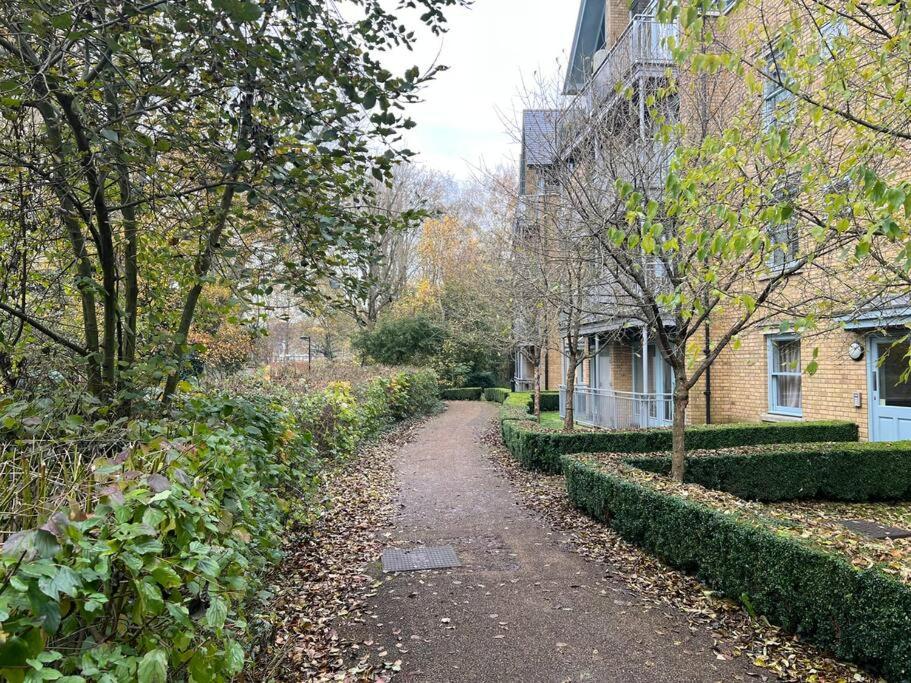 1 Bedroom Ground Floor Apartment ,Close to Centre,Parking - Housity