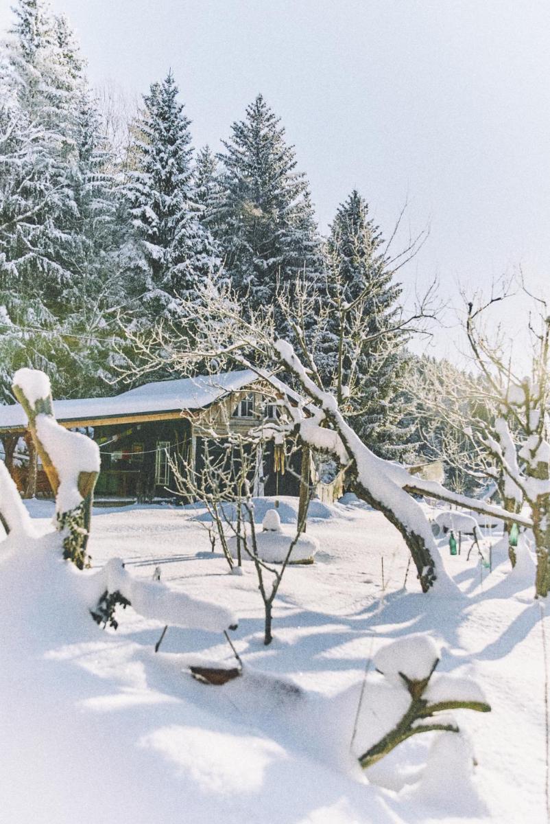 Blickinsfreie - Cabin - Housity