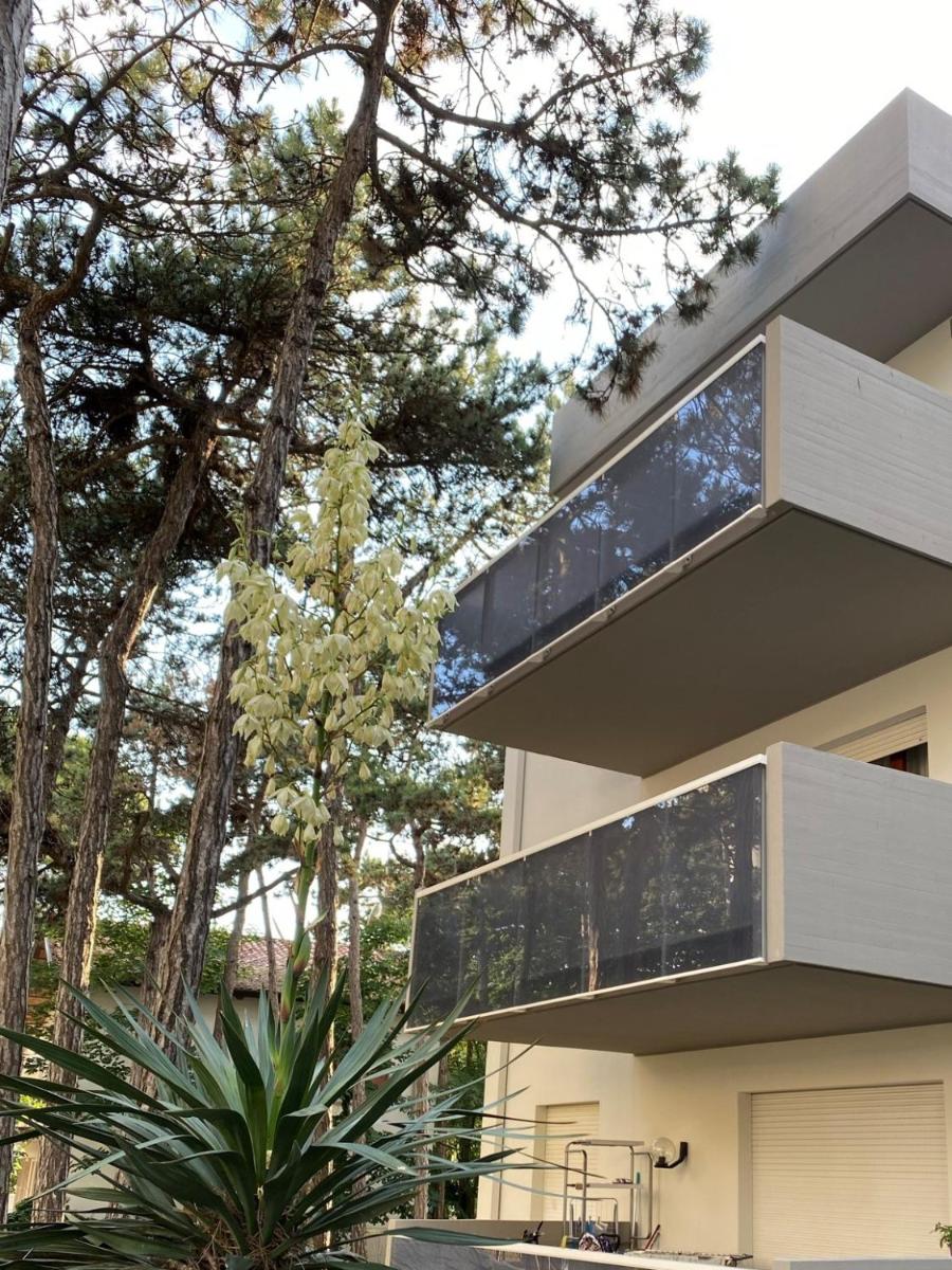 Appartamenti Vacanza Albatros - Housity