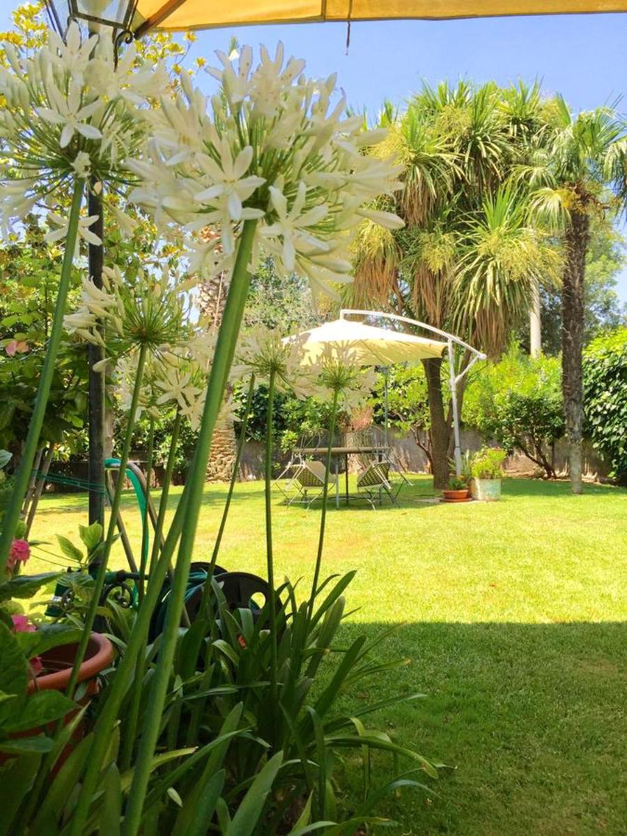 Spacious apartment in Ragalna with private pool - Housity