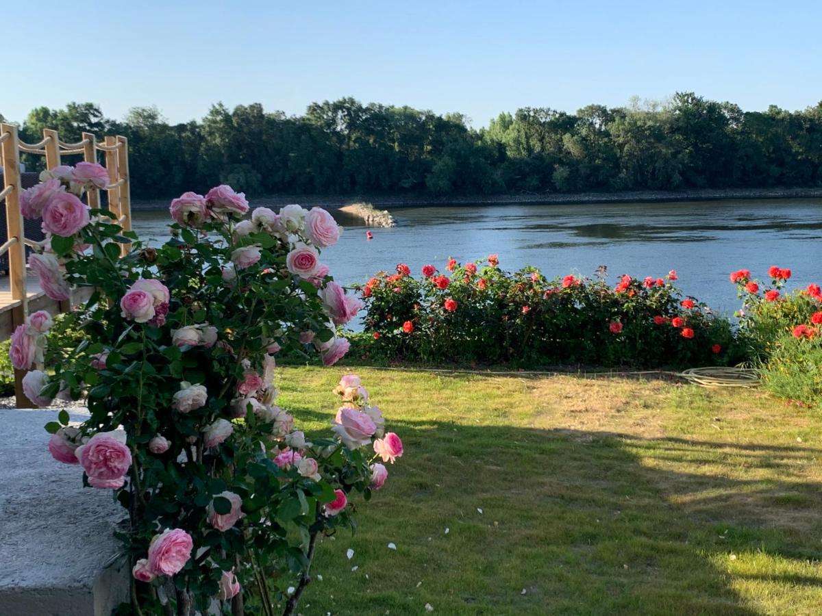 Maisons au bord de la Loire - Maison Paradis & Maison Bonheur au 248 RIVERSIDE - Housity