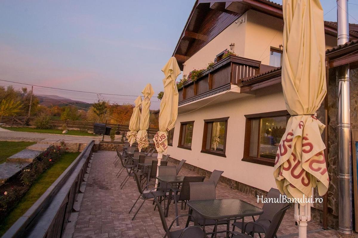 Complex Transalpina - Housity