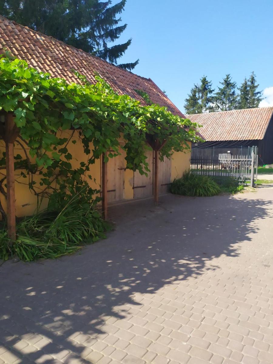 Domek na wzgórzu Blanki - Housity