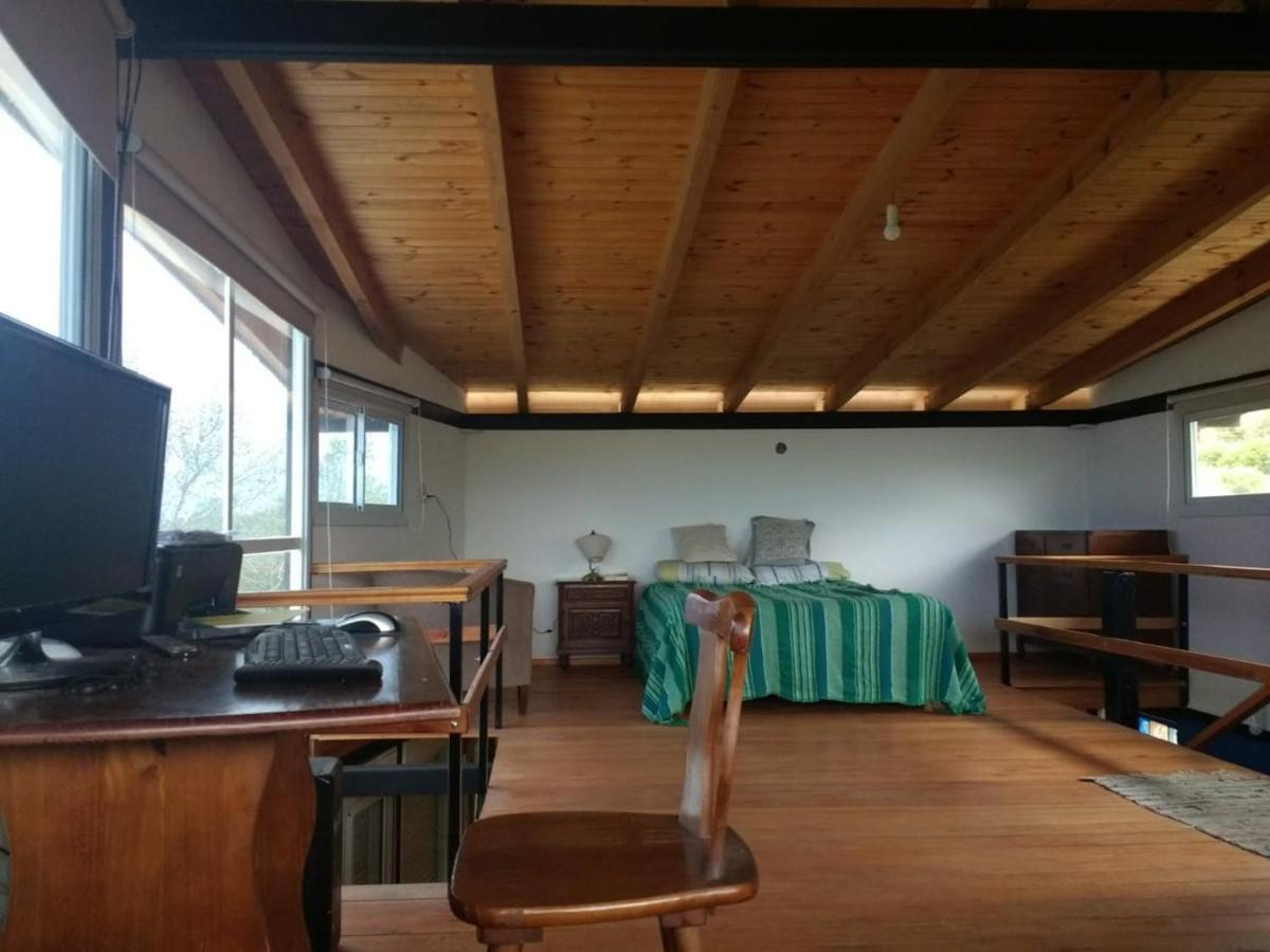 Lechuzas - Housity