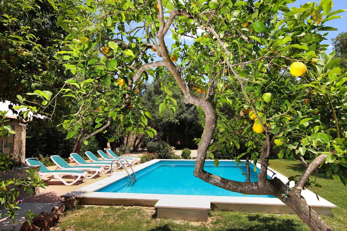 Villa Punxa - Housity