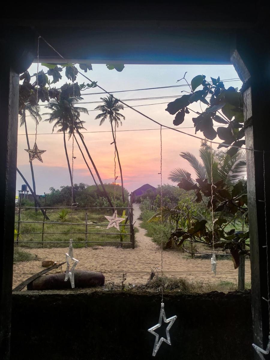 Secret Garden Arambol - Housity