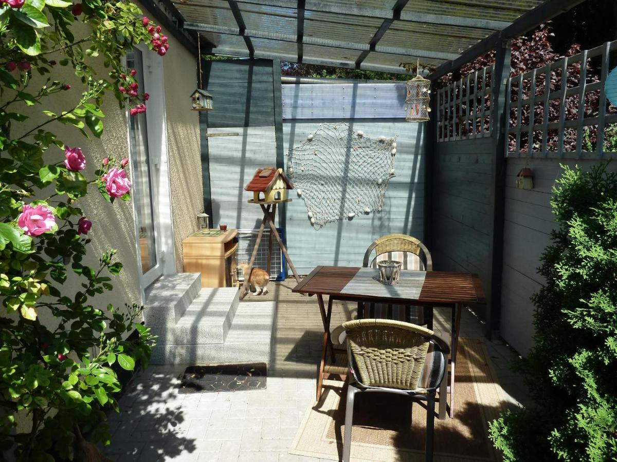 Ferienwohnung ZU1 "Möwennest" - Housity