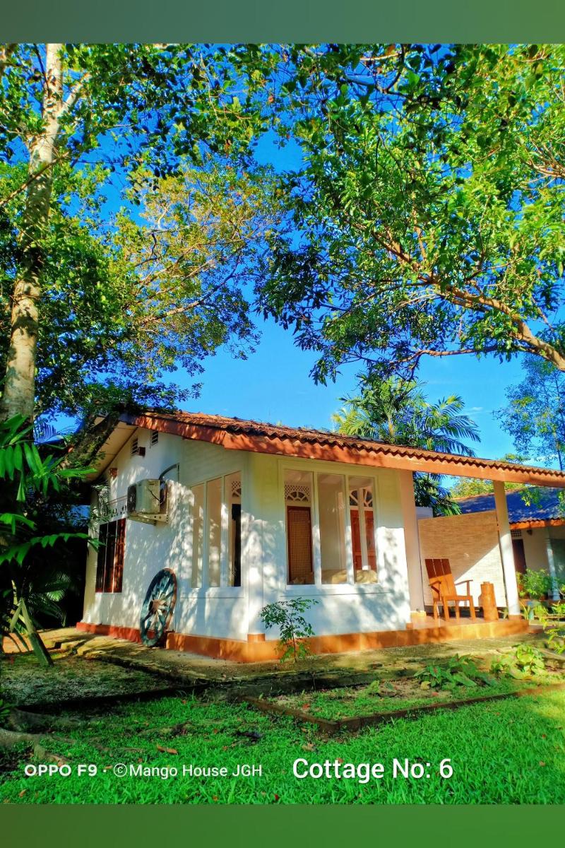 Mango House Japanese Guest House - Housity