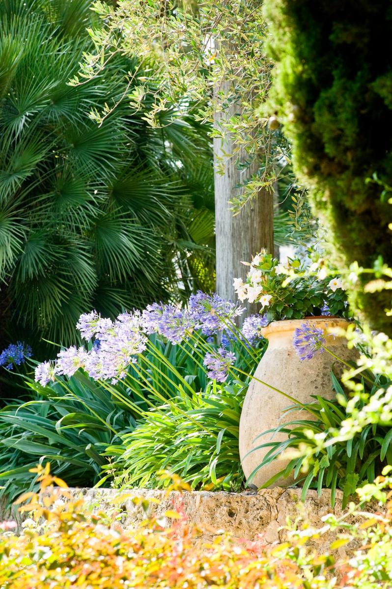 Jardin de l'établissement Bastide Saint Antoine - Relais & Châteaux