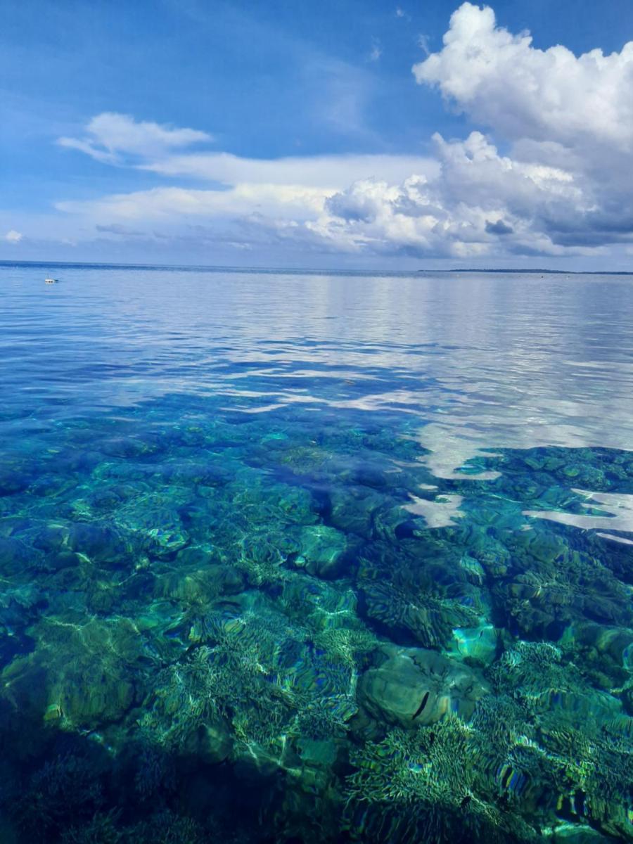 Blue Shark Divers Bunaken - Housity