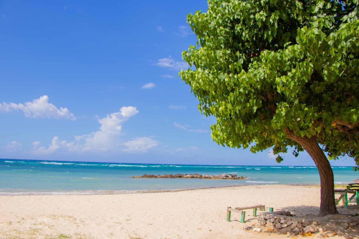 Beach Dreams at Seacastles - Housity