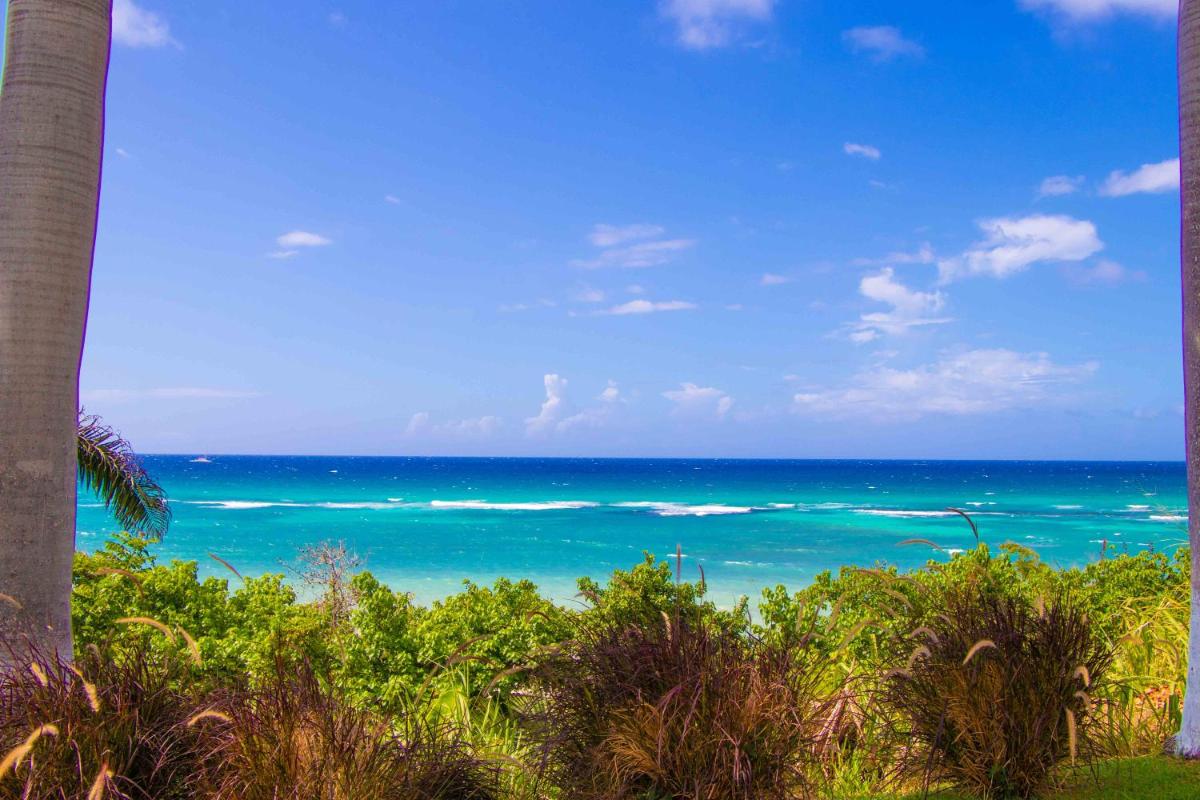 Beach Dreams at Seacastles - Housity