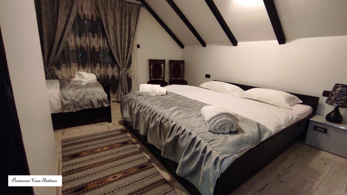 Pensiunea Casa Andreea - Bârsana Maramureș - Housity