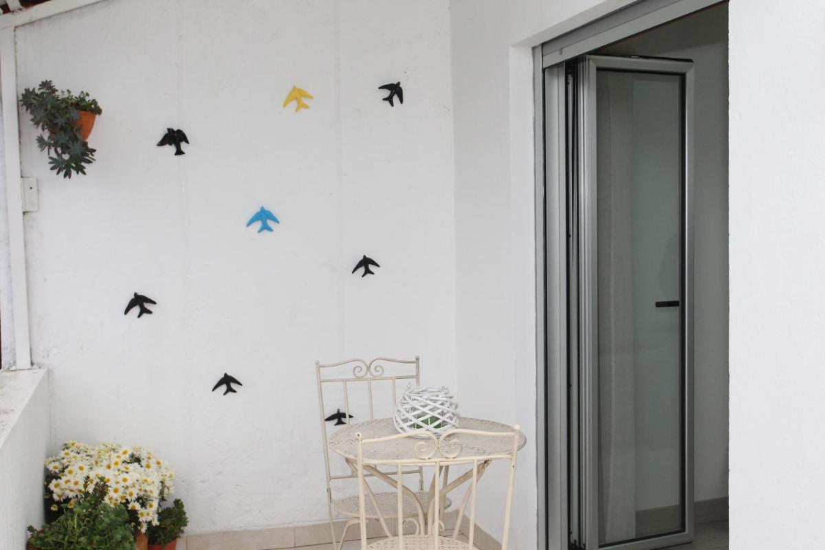 Miranda Tradicional - Housity