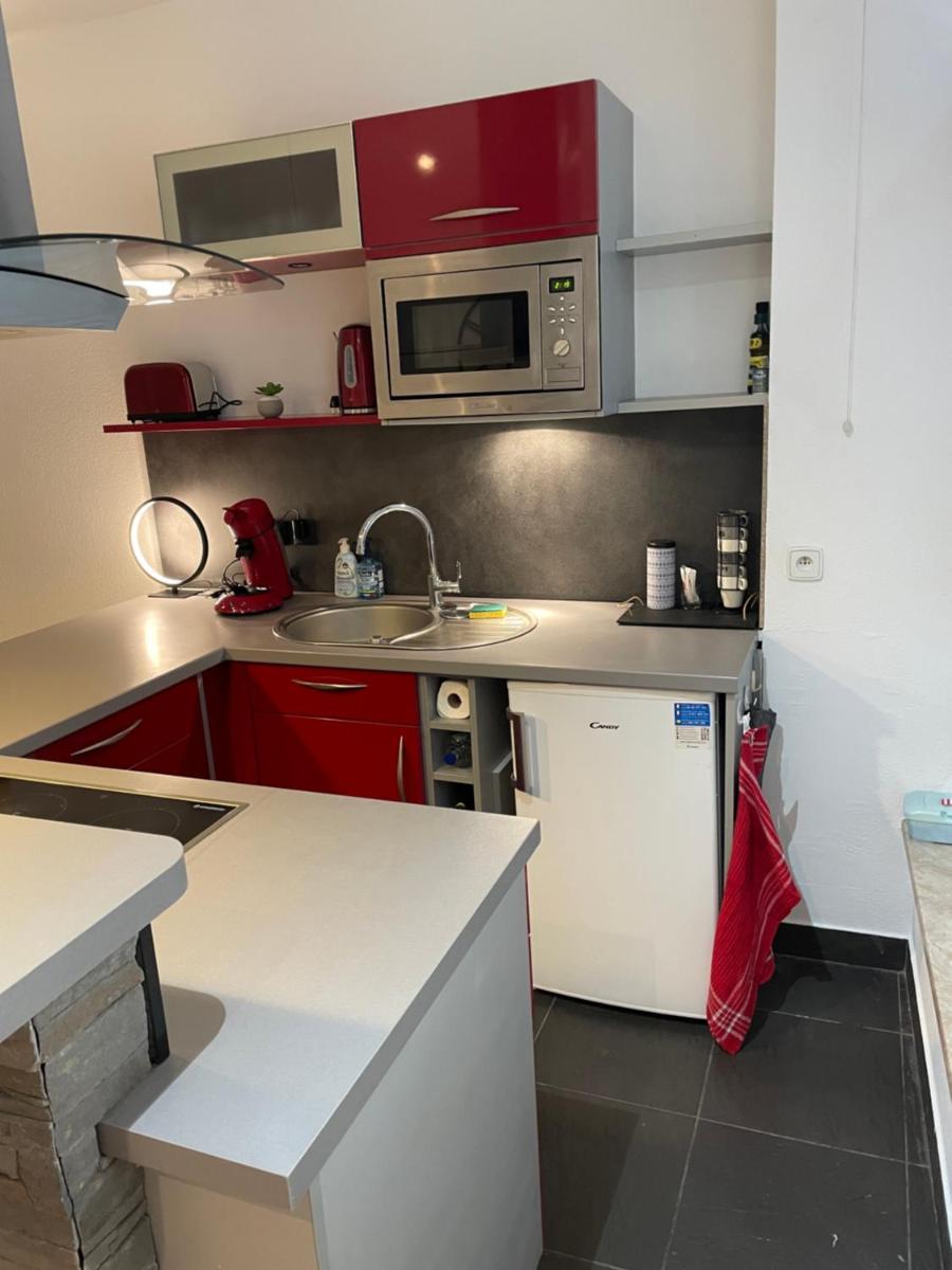 Chaleureux F2 dans l’hypercentre colmarien - Housity