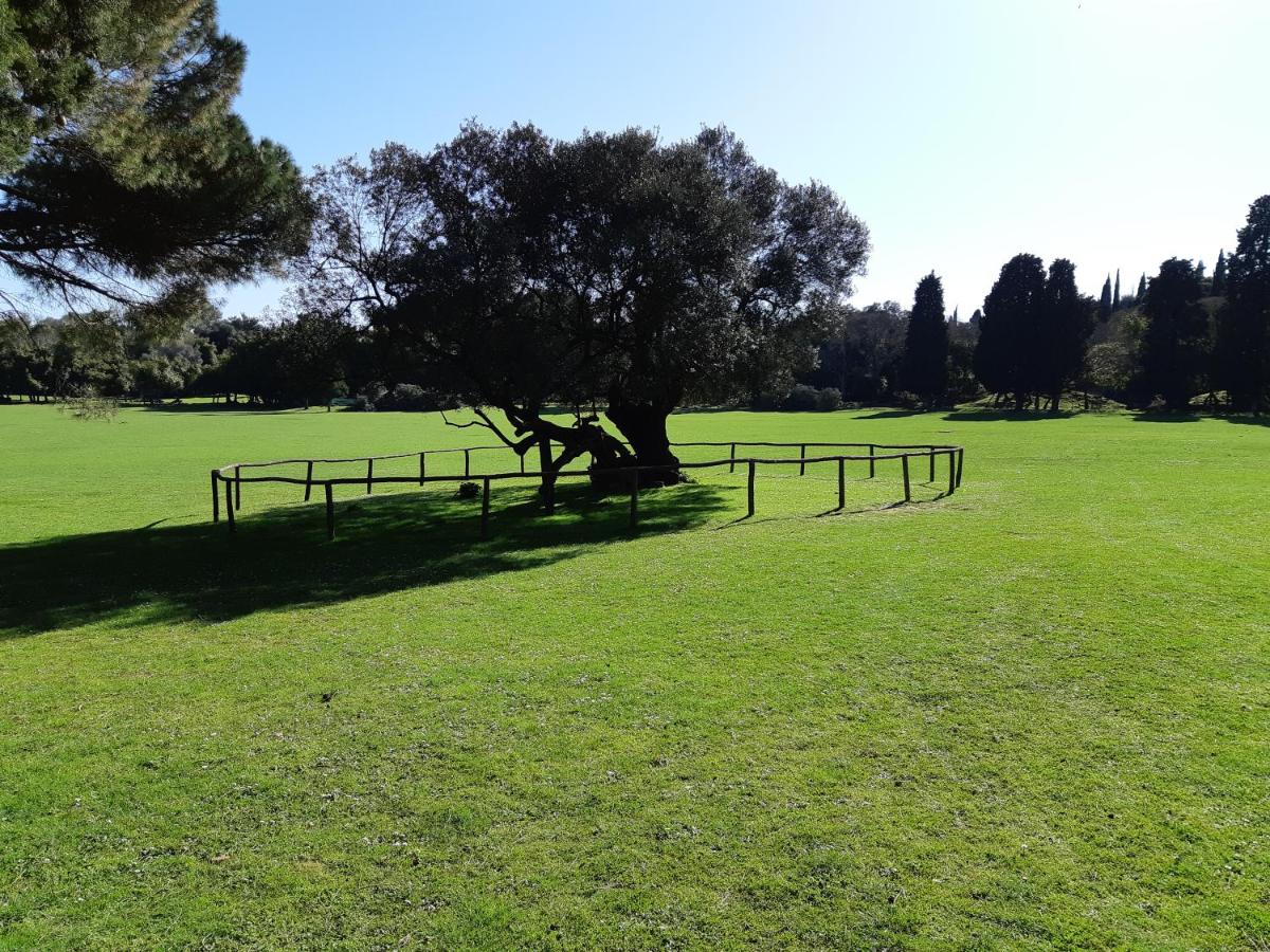 Villa Kascuni - Housity