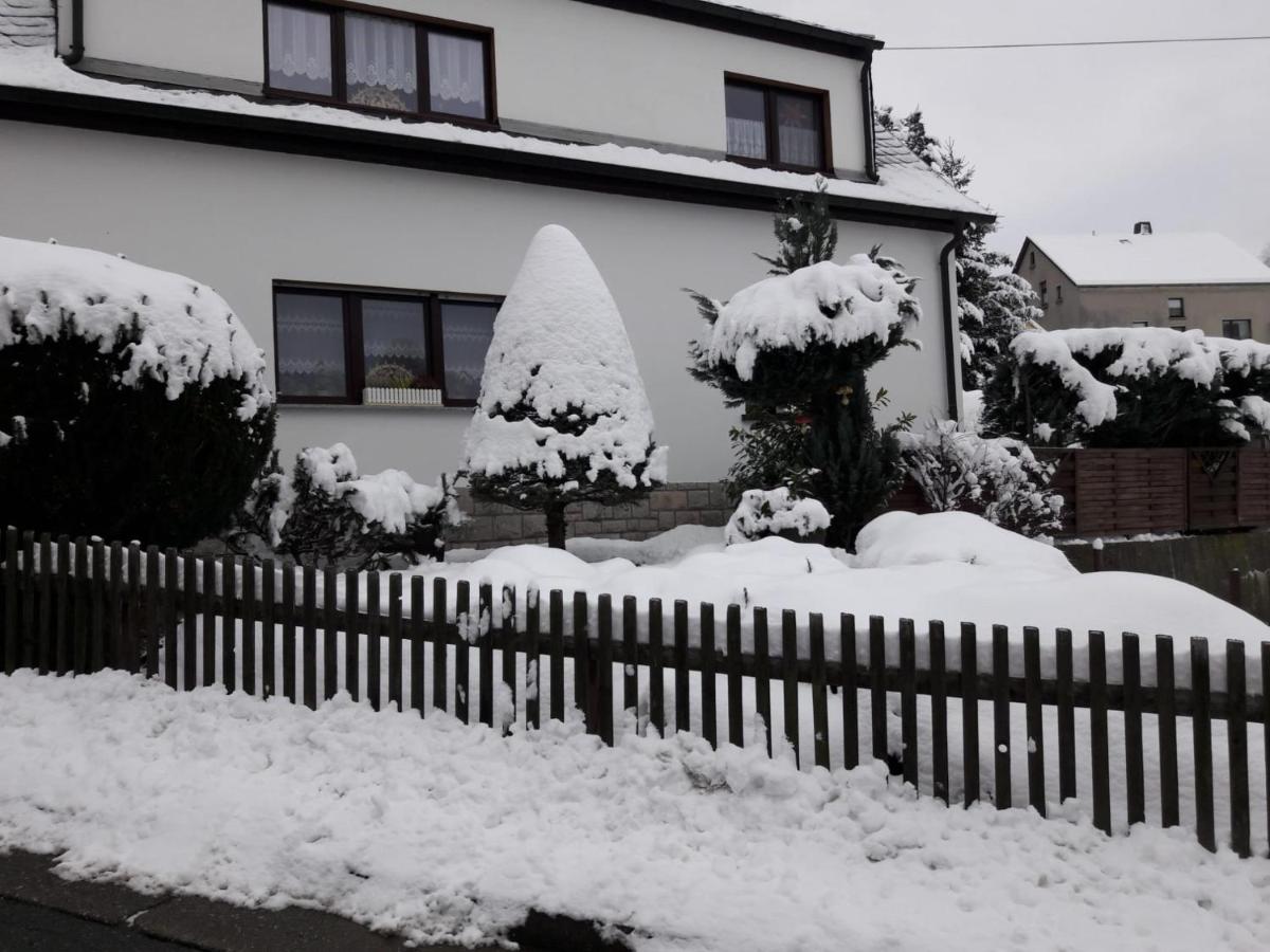 Ferienwohnung Zschorlau/Erzgebirge 03771 479123 - Housity