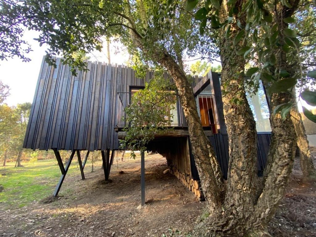 Um jardim no exterior de Quinta do Pedregal Hotel & Spa