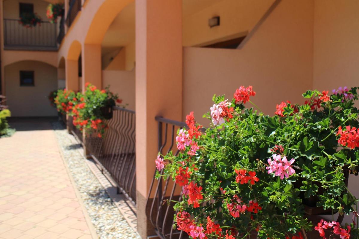 Penzion Tara - Housity