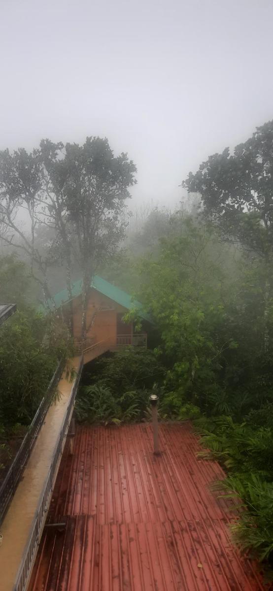 Spicevilla Tree house Thekkady - Housity