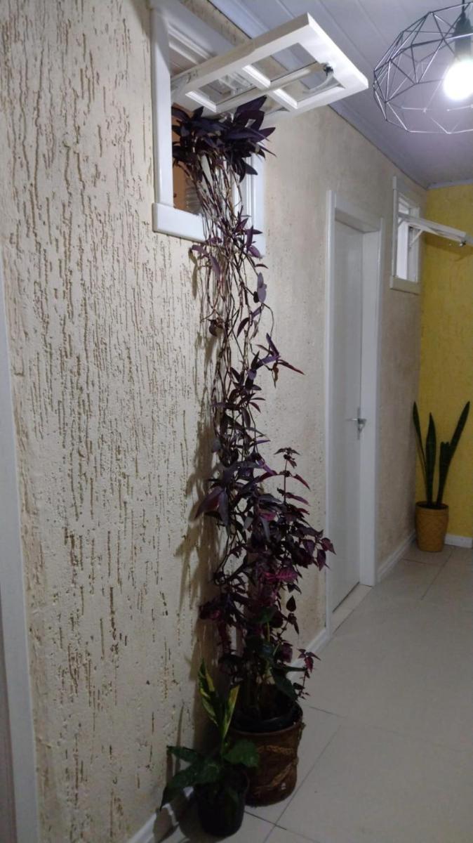 Cantinho House - Housity