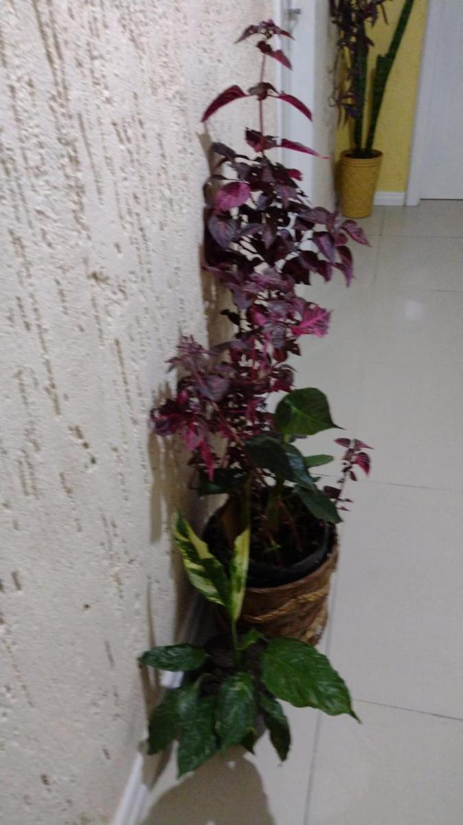 Cantinho House - Housity