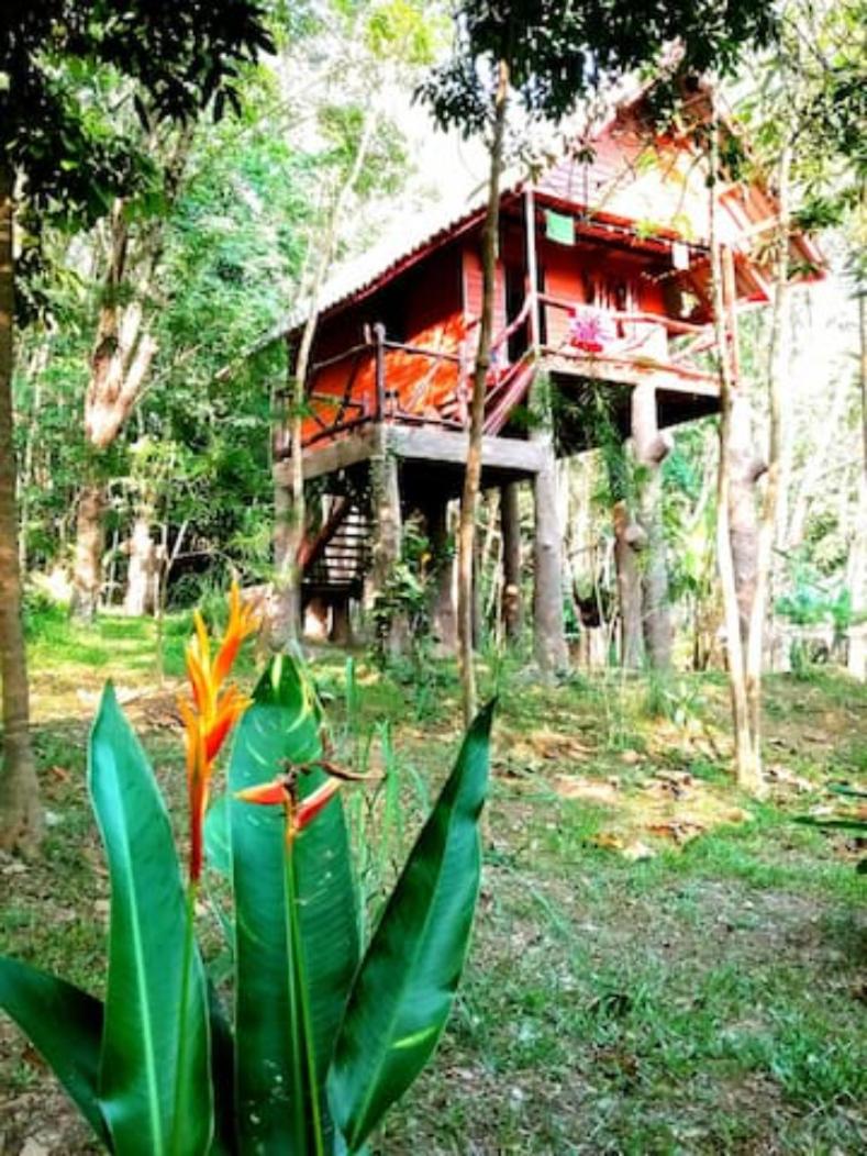 Treehouse Holidays-Garden View - Housity