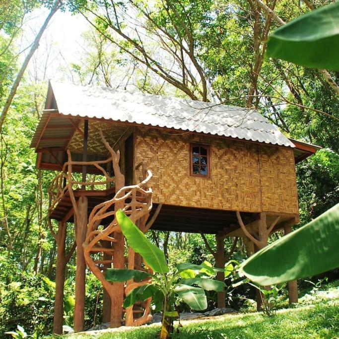 Treehouse Holidays-Love Nest - Housity