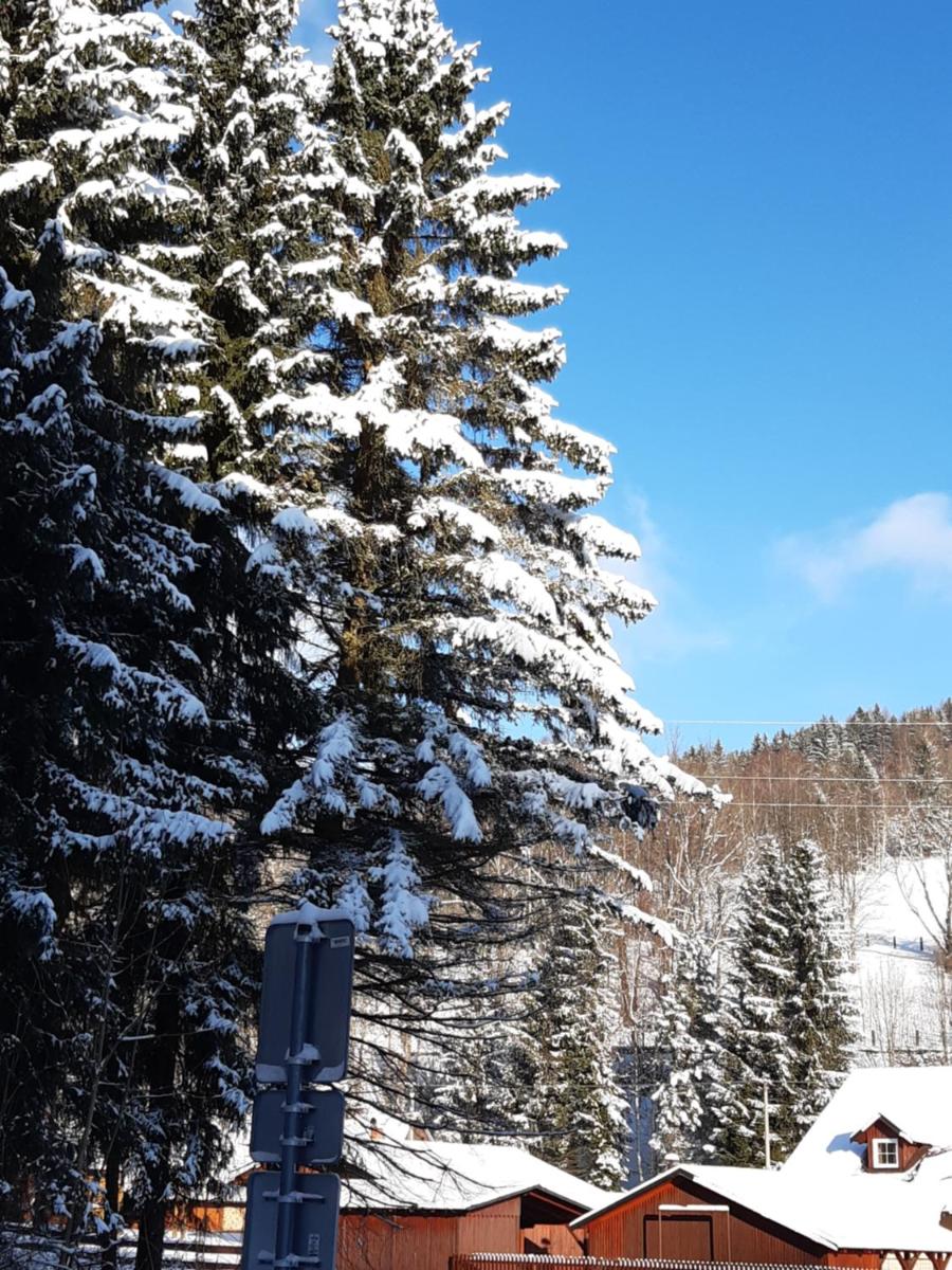 Apartmán Horní Lipová č. 3 - Housity