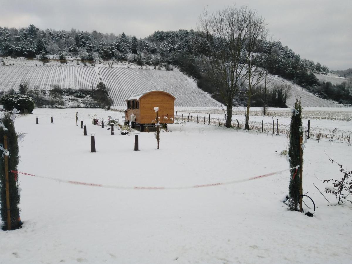 l'échappée belle en Champagne - Housity