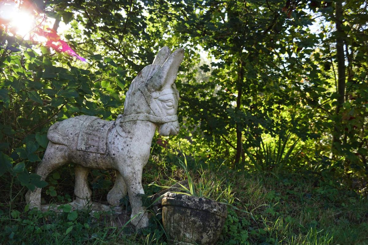 Animaux dans l'hôtel ou à proximité