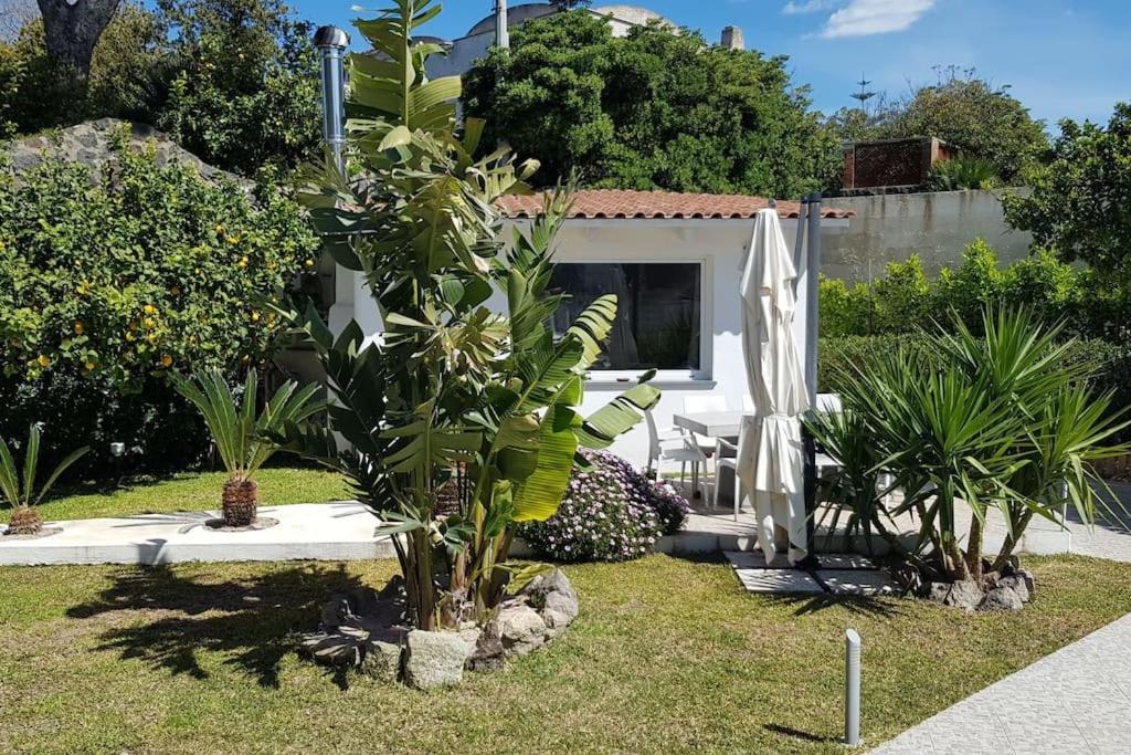 Casa Vacanza M&C Ischia - Housity