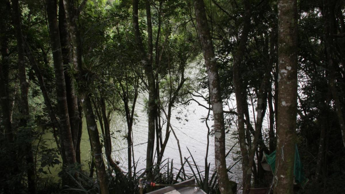 Sítio CAMOMEL - Represa do Capivari - Housity