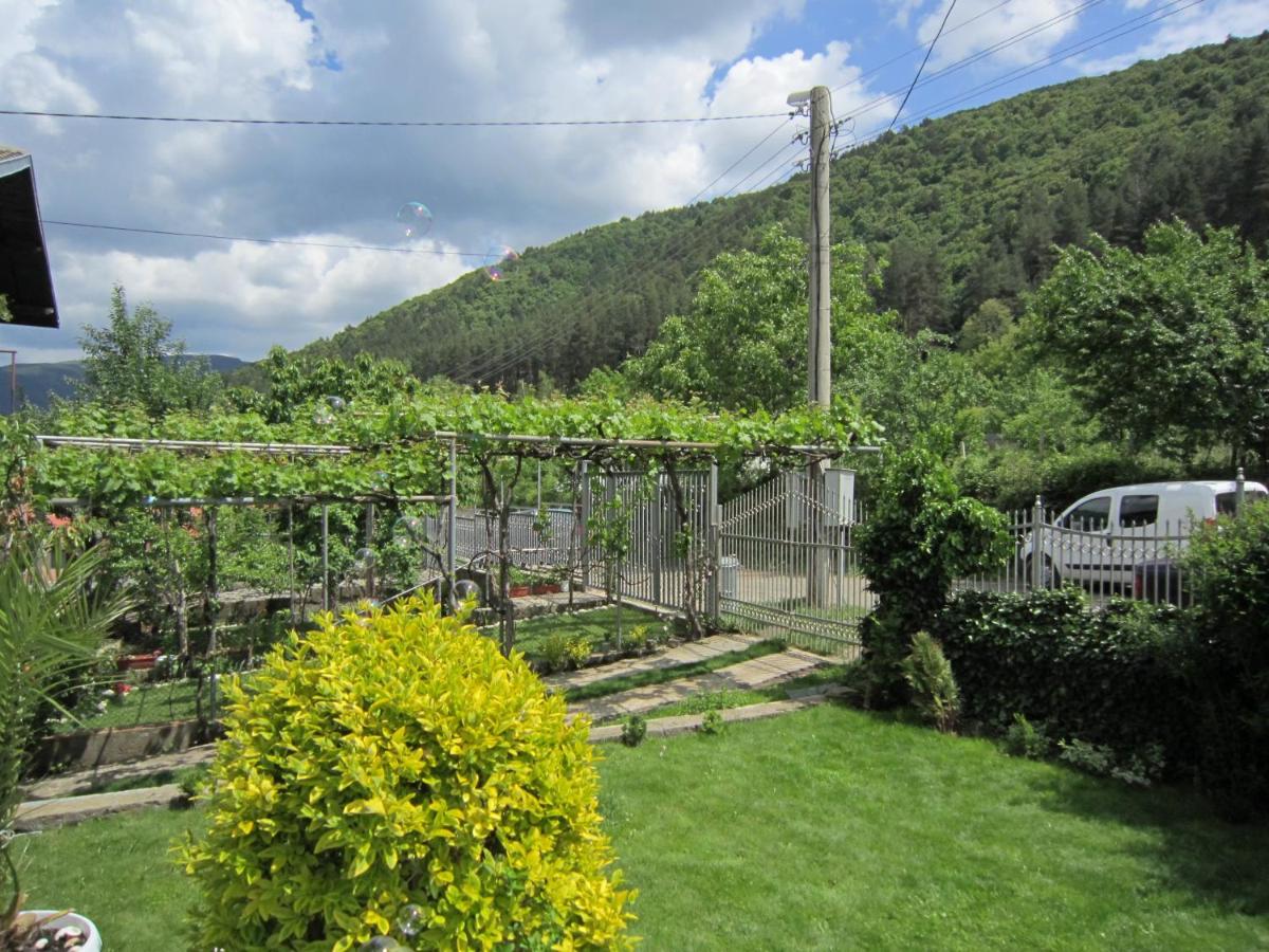 Slavina Guest House - Housity
