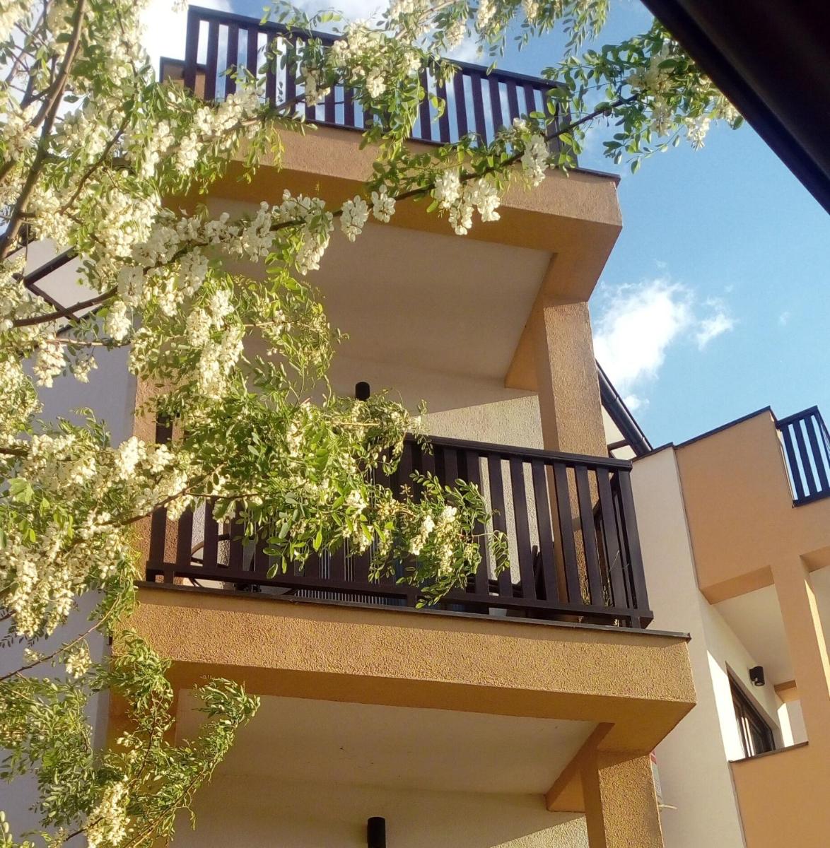 Apartman Darja sa pogledom na jezero - Housity