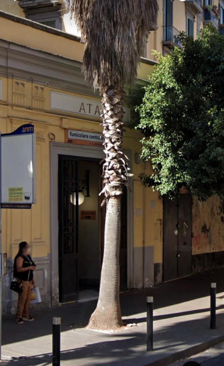 La Casa dei Miei - Apt con terrazzo in centro - Housity