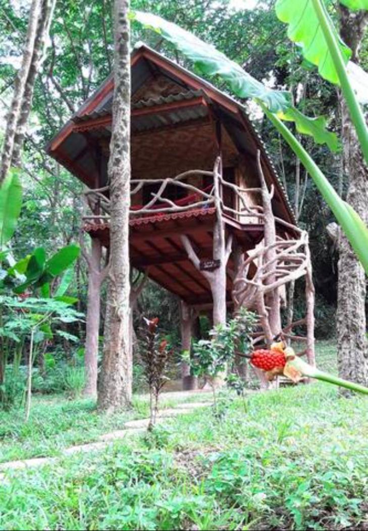 Treehouse Holidays-Love Nest - Housity