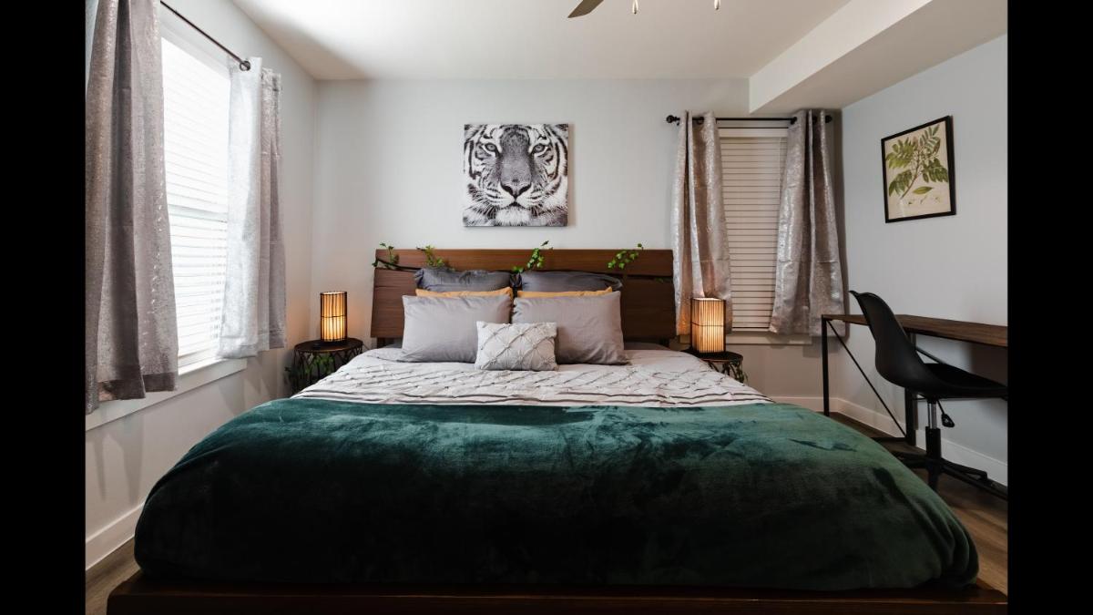 Snug King Bed Apt Near Everything Dwntwn Dallas - Housity