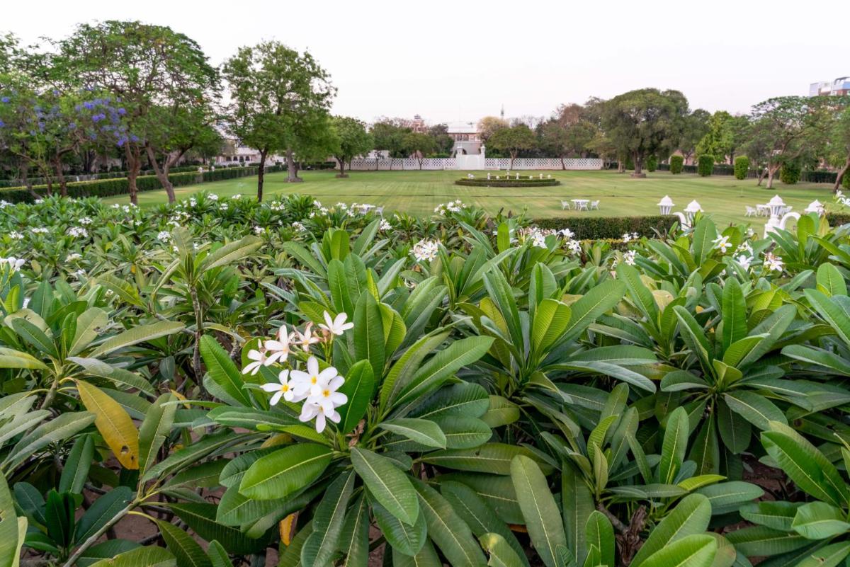 a garden with white flowers in a park at Rajmahal Palace RAAS in Jaipur