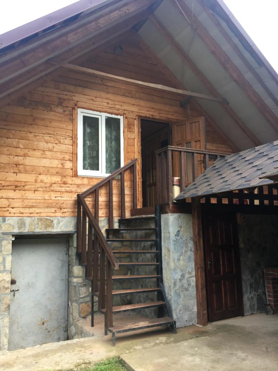 Шепіт лісу - Housity