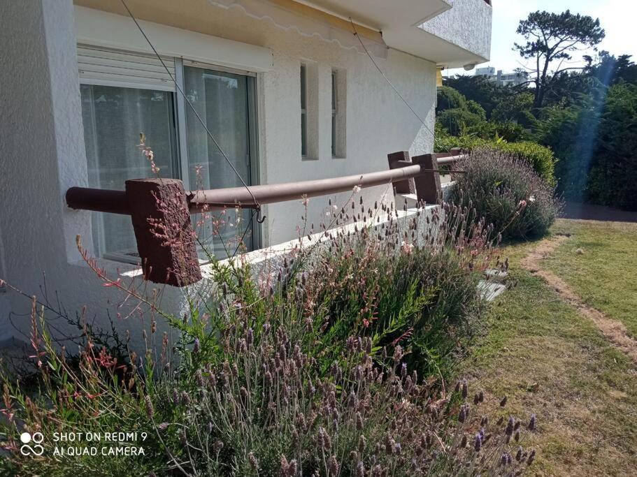 DISFRUTA punta del este con un DESCANSO increíble - Housity