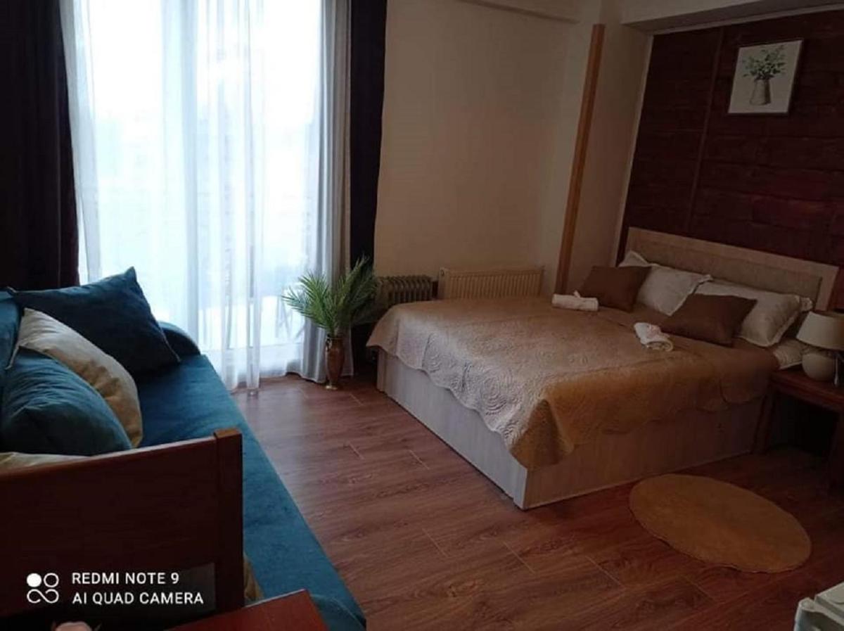 Bakuriani Mgzavrebi Studio 5 - Housity